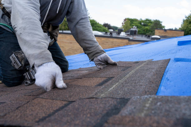 Best Local Roofing Companies  in Little Cypress, TX