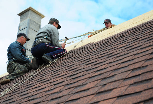 Best Roof Repair Services  in Little Cypress, TX